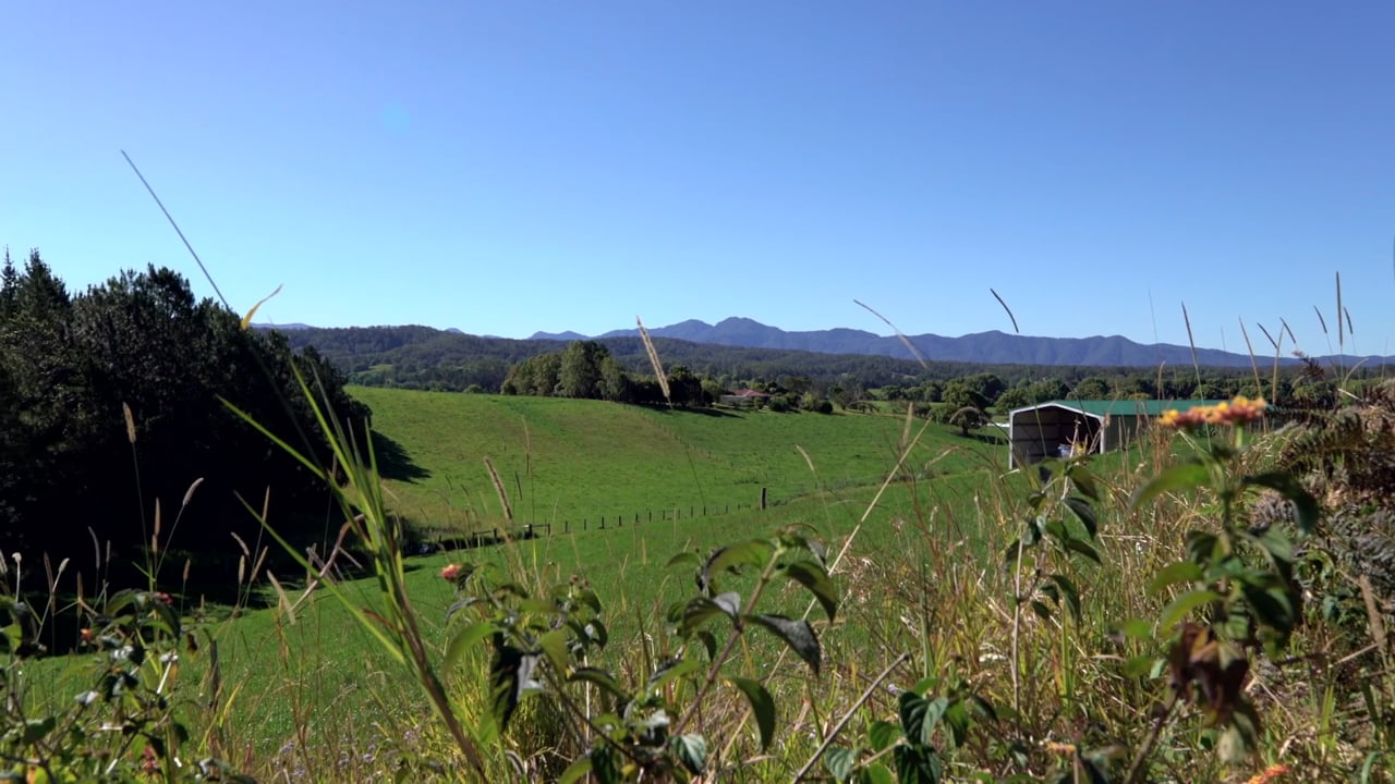 Industry Leaders S02E06 | Alchemy in Bellingen  | TV Segment