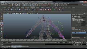 Maya 3d