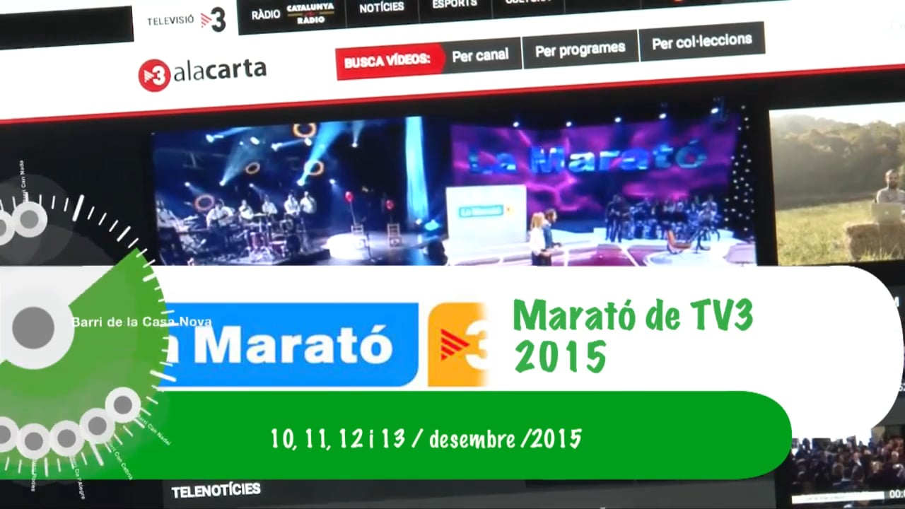 Marató de TV3 2015