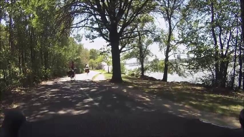 Fkk steife schwänze