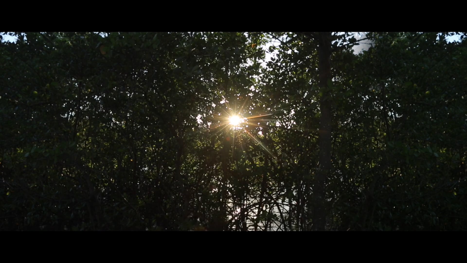 Kiki & Caio - teaser