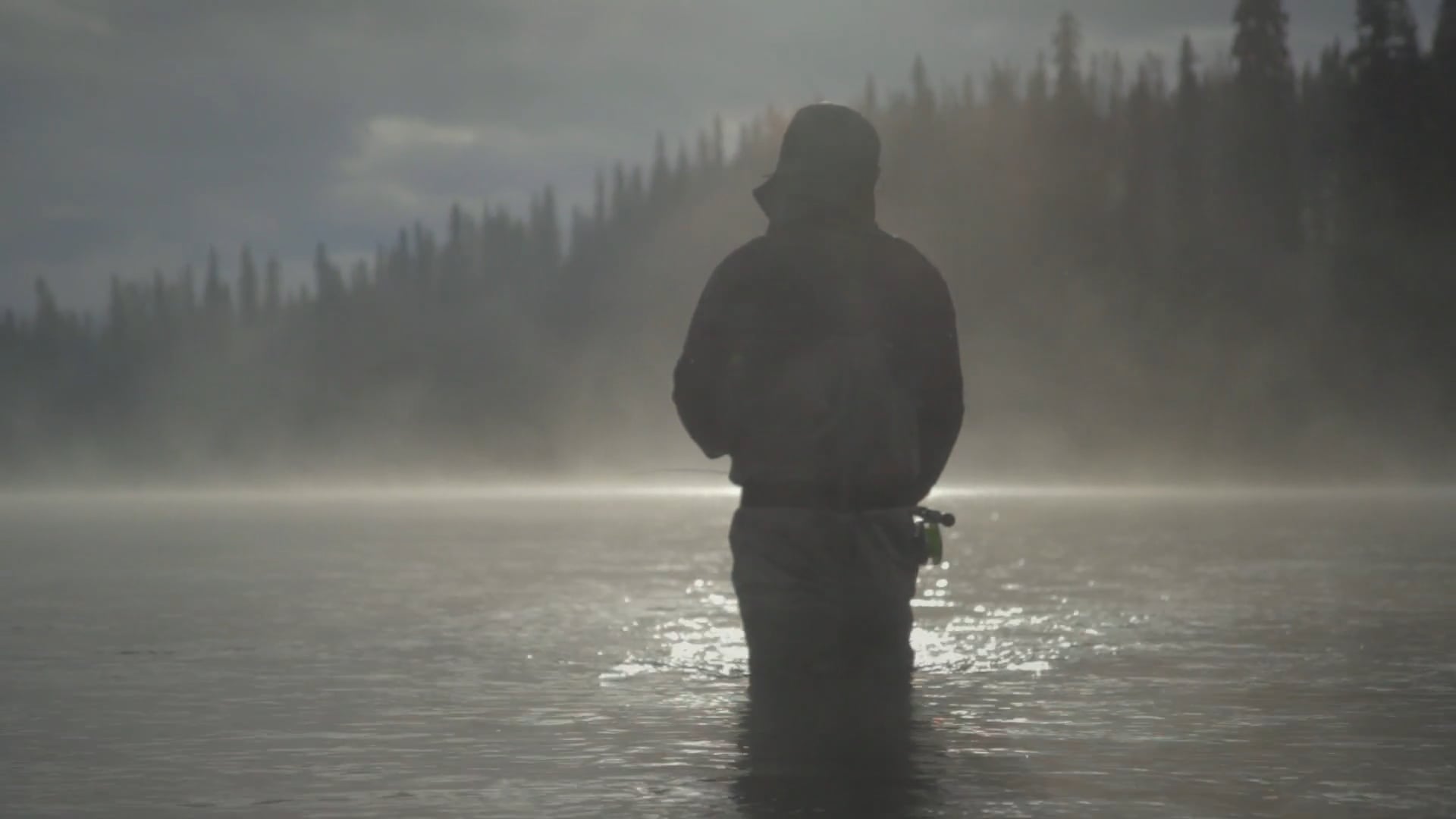 The Way of The Fish on Vimeo