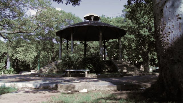 Café templado (ficción)
