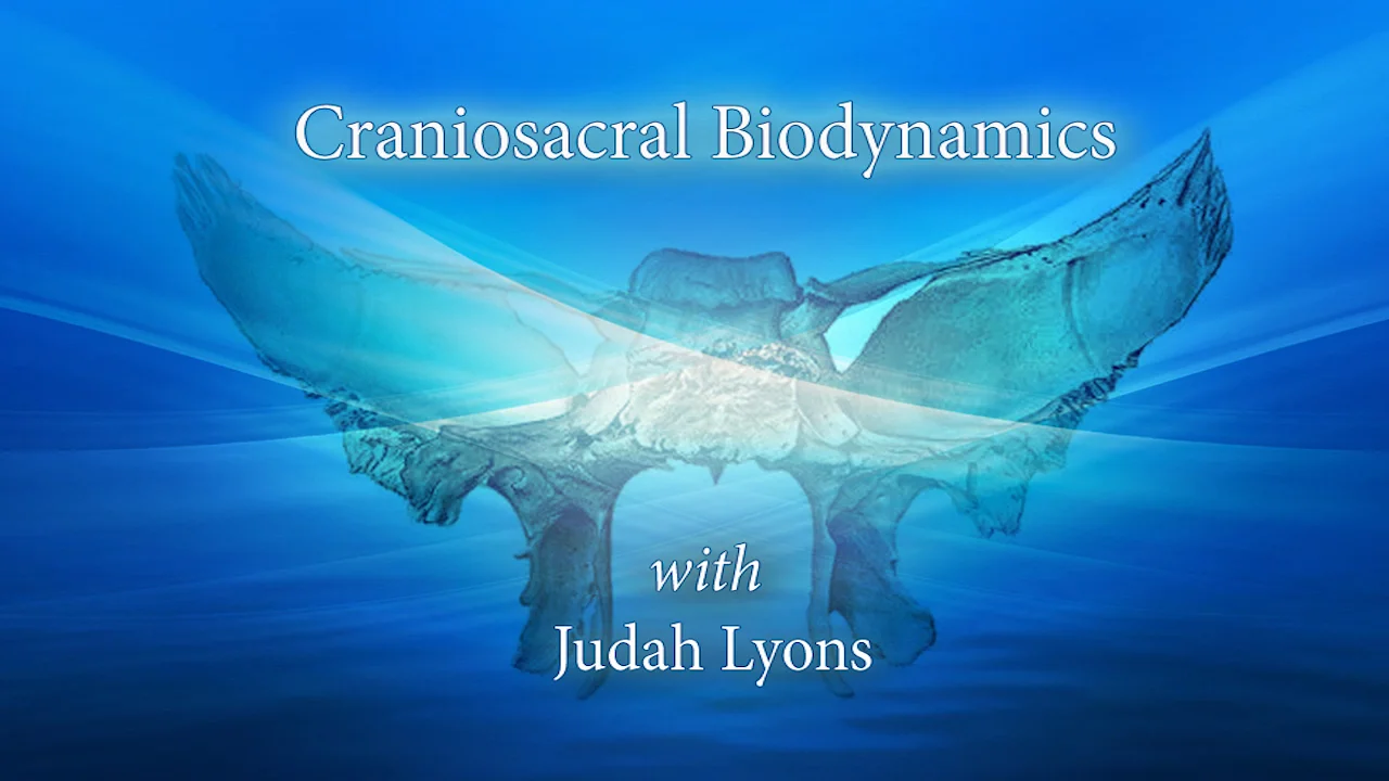 CRANIOSACRAL BIODYNAMICS volume one 英語版 CRANIOSACRAL BIODYNAMICS volume one 英語版 Craniosacral
