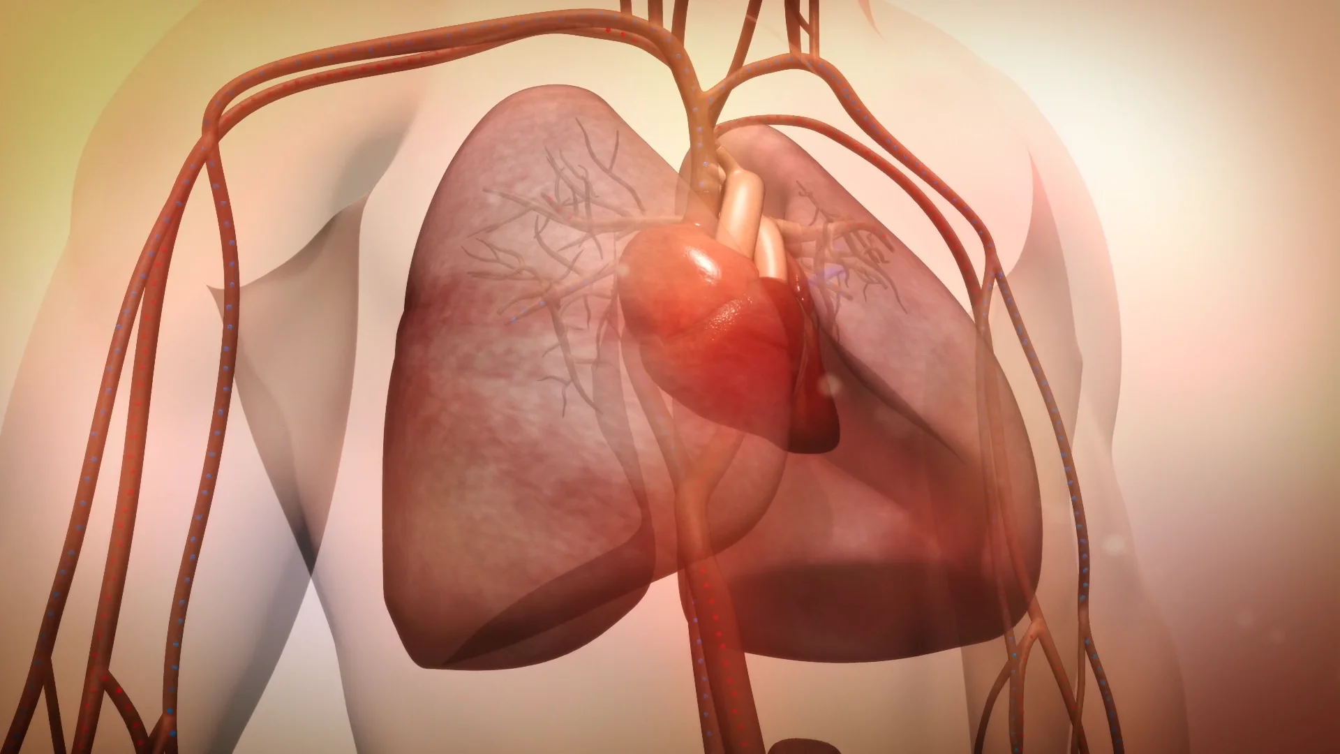 CIENCIA Y MEDICINA - WebMD_Heart Failure_FINAL on Vimeo