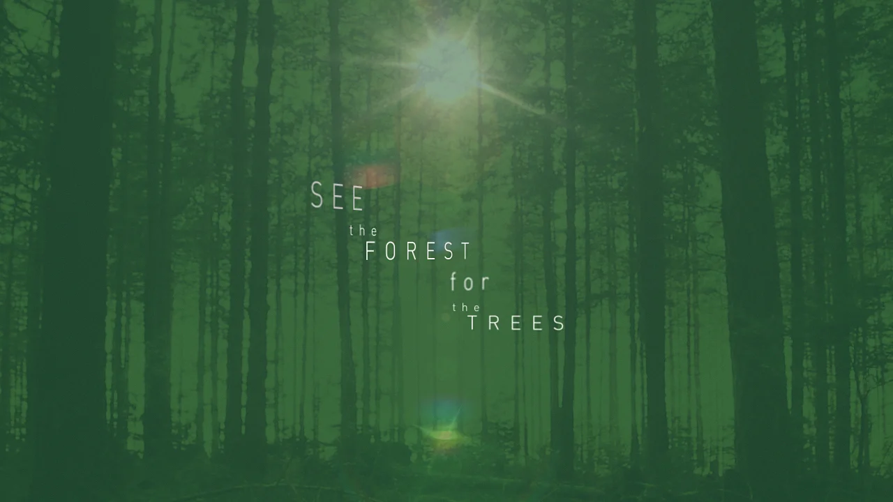 See the Forest for the Trees