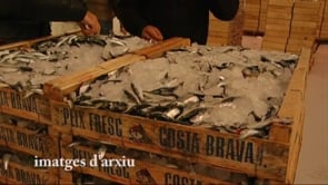 Intervenen a l'Escala 13 tones de sardines que no complien amb la mida mínima