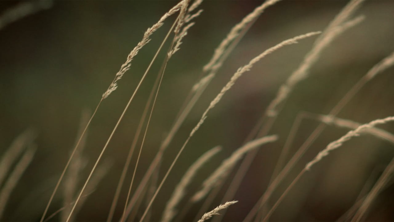 Kahden polven treffit - Trailer (Short)