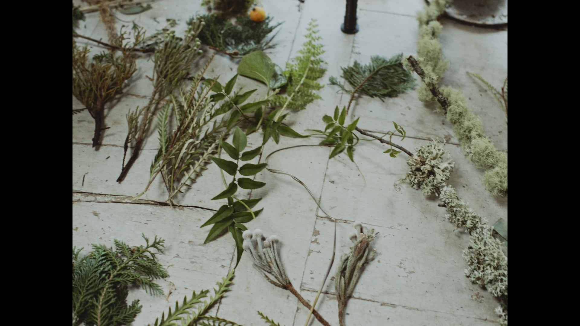 Jo Flowers Christmas 2016