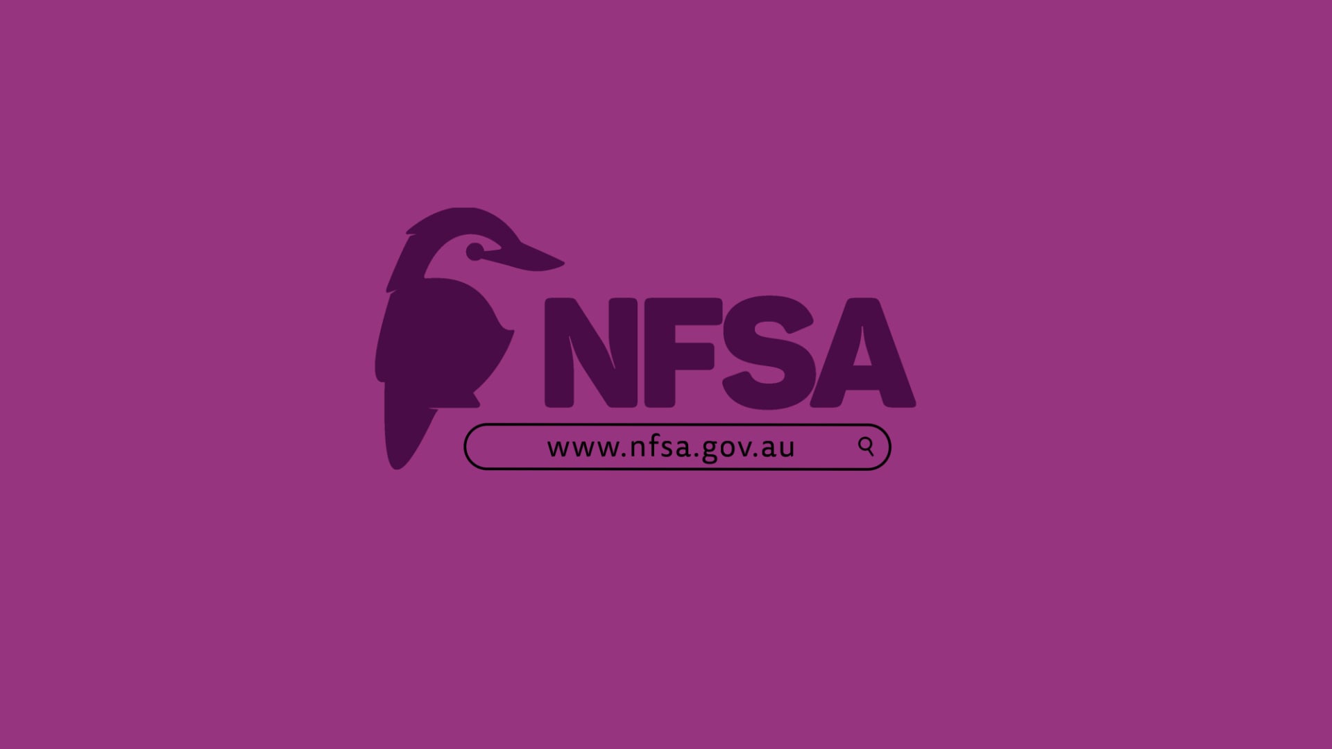 Website Promo | NFSA