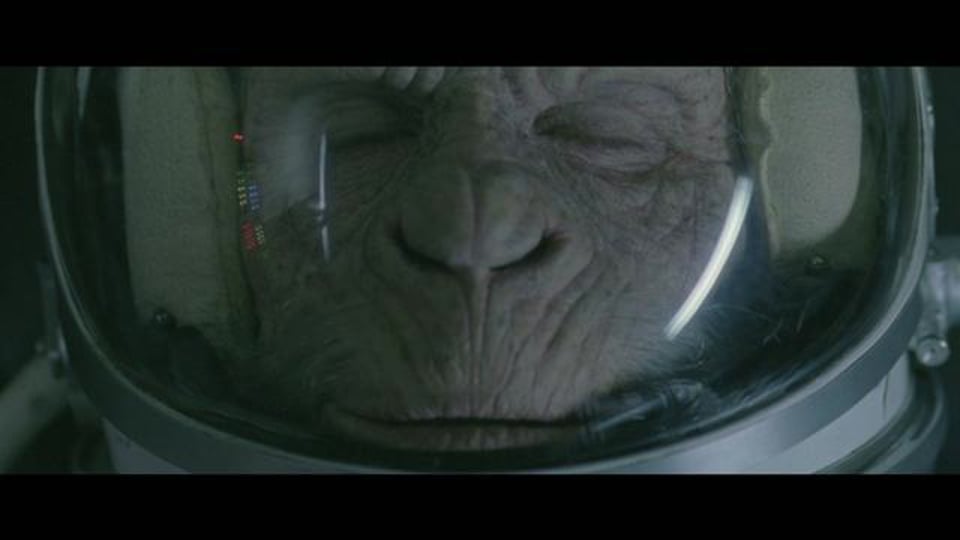 Chimpanzé de l'espace