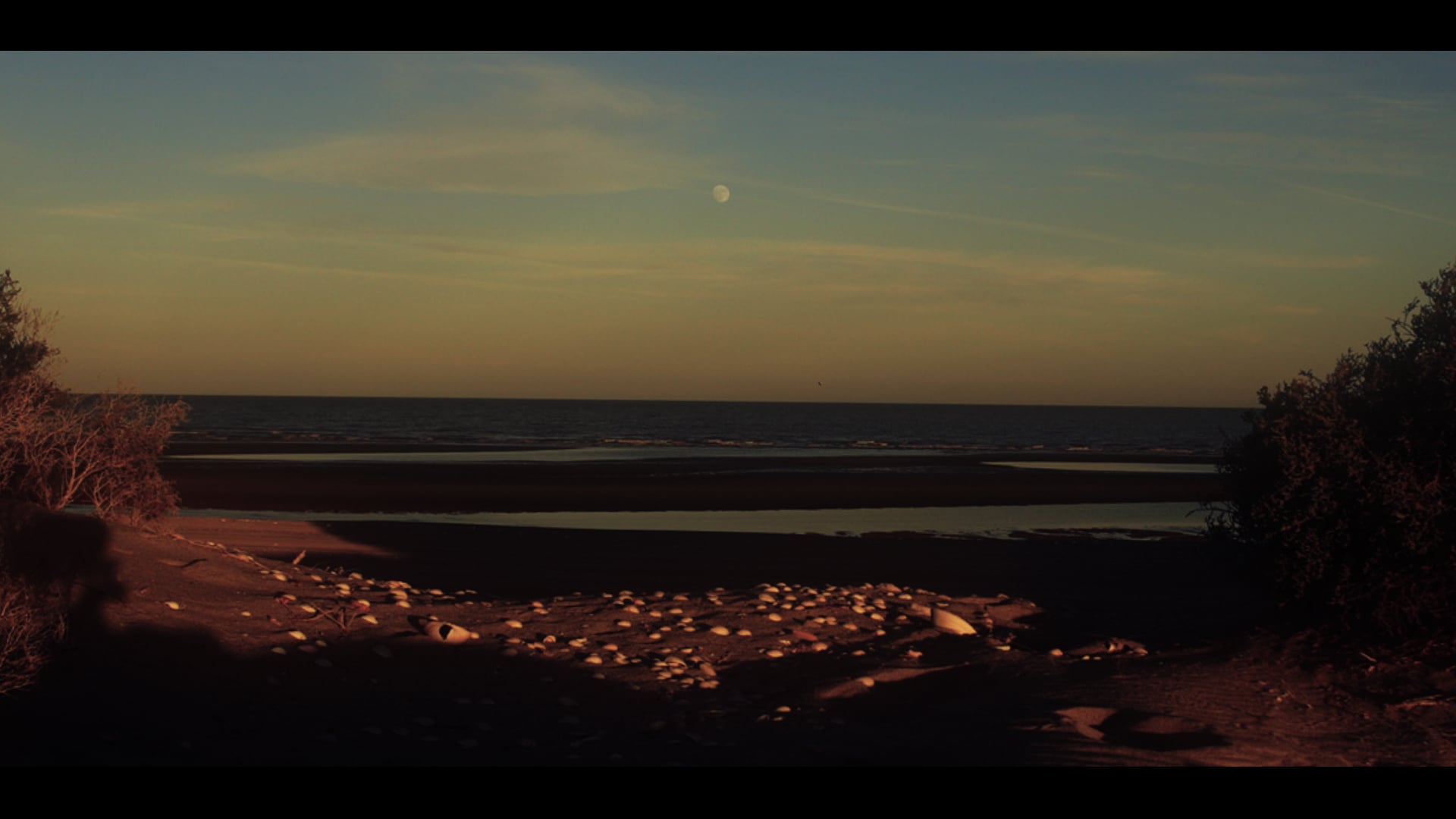 Super Moonrise at Sunset