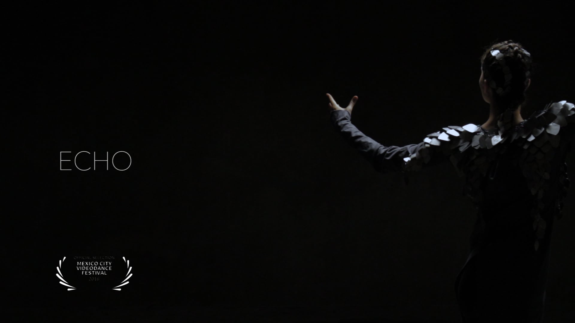 Echo on Vimeo