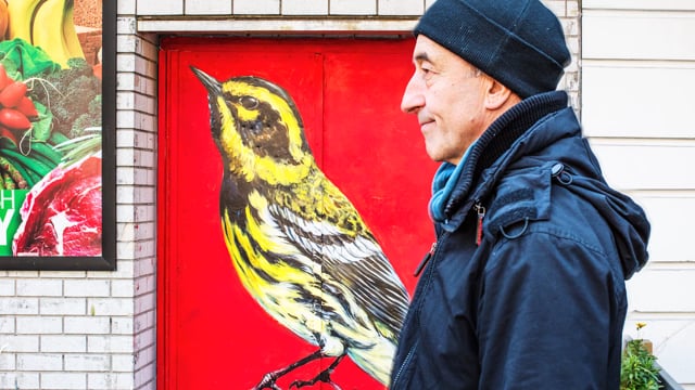 Audubon Mural Project featuring ATM Street Art