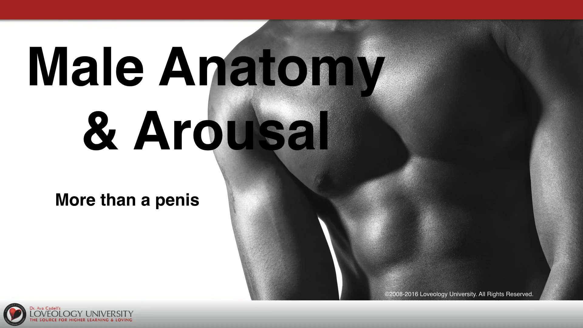 Demo - Male Anatomy &amp; Arousal Course