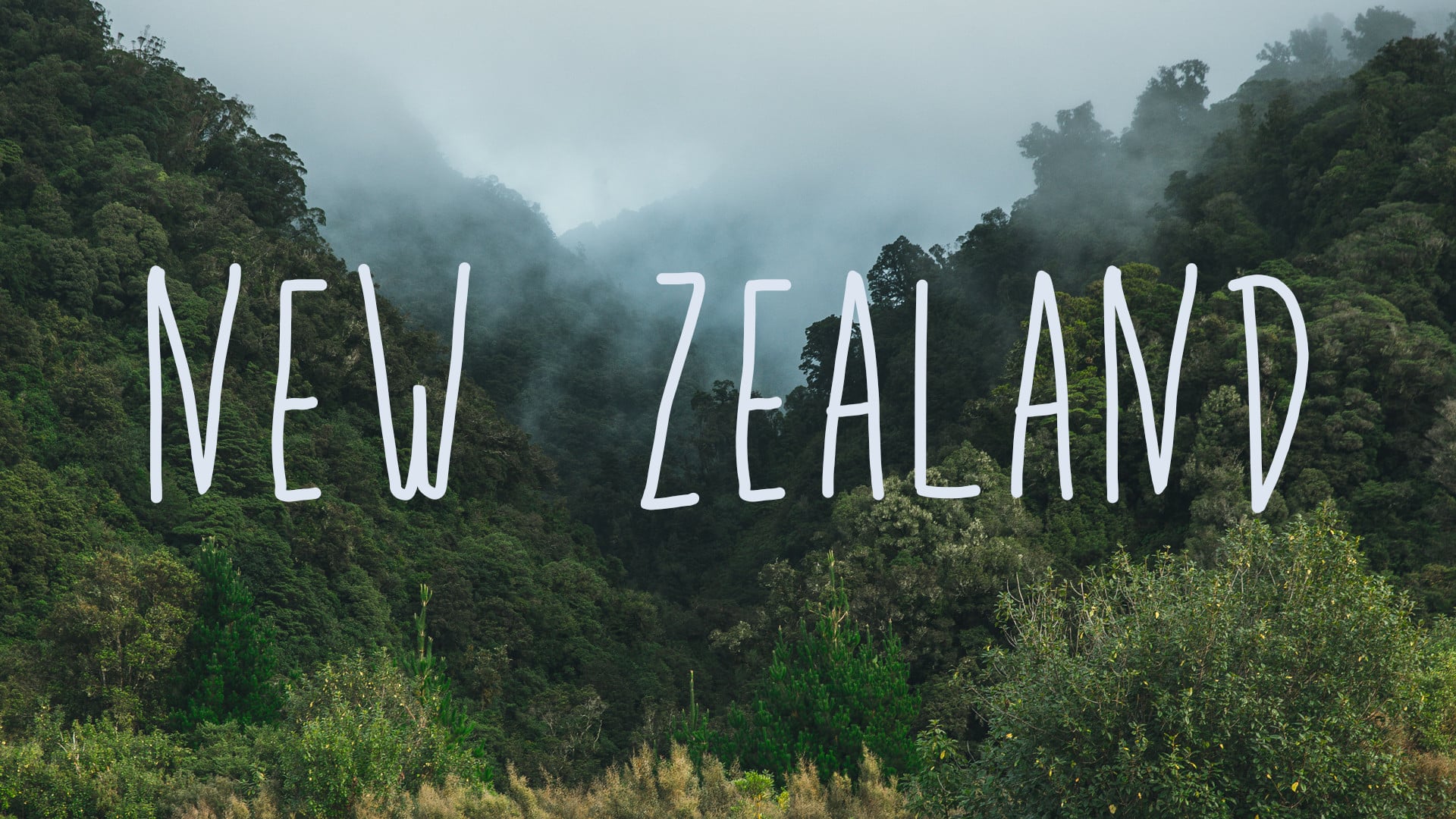 WE GO New Zealand