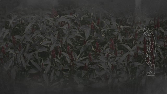 Still 1
