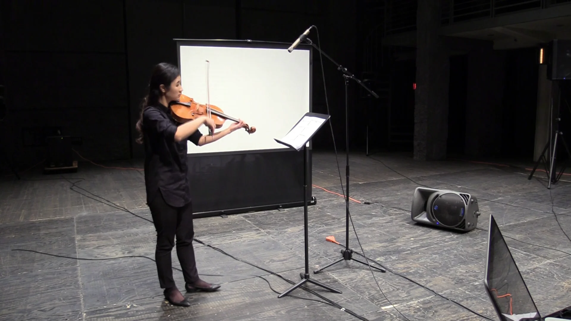 Twitch - viola and live electronics (excerpt) on Vimeo