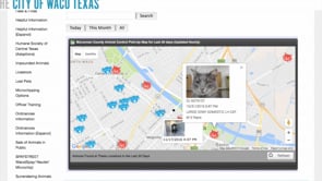 City of Waco Lost Pets Web Feature