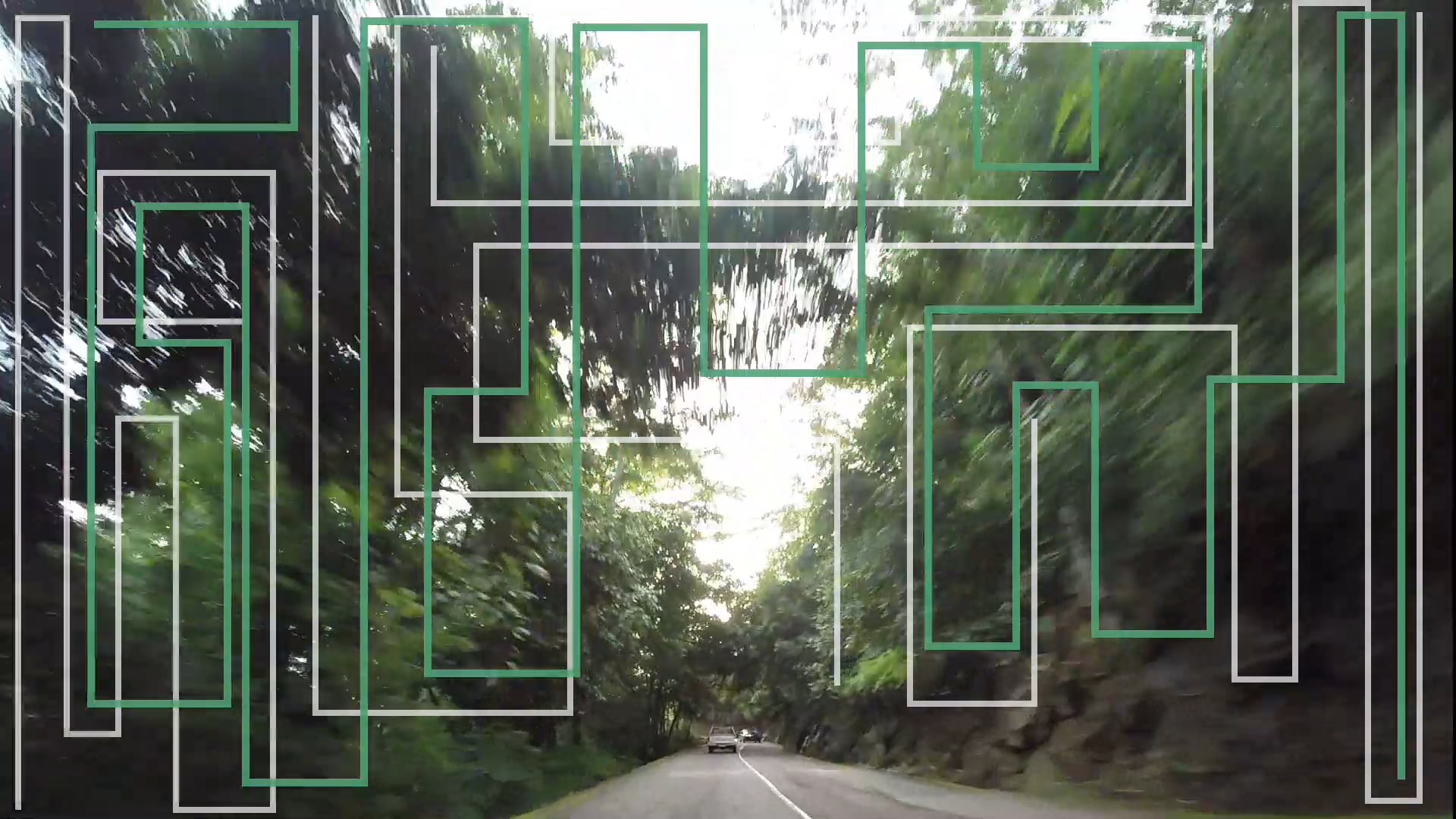 Tree with pattern Comp 1 (Converted) on Vimeo