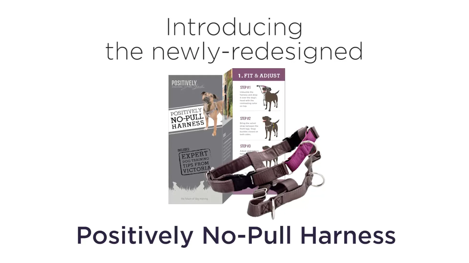 The Positively No Pull Harness