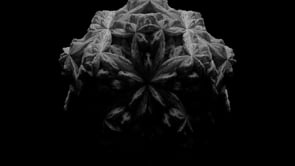 Nike ~ Flyknit ~ Development