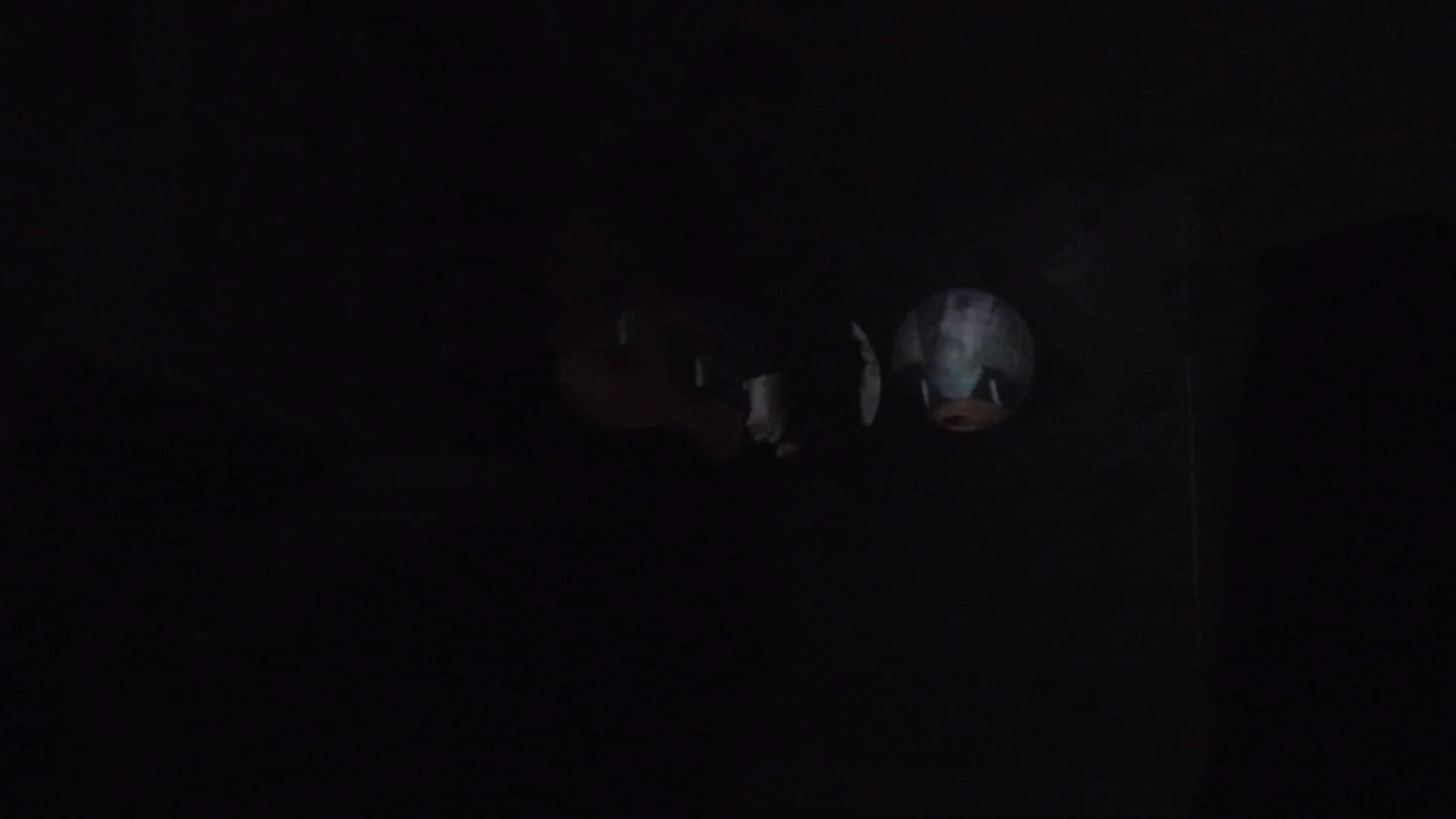 loop on Vimeo