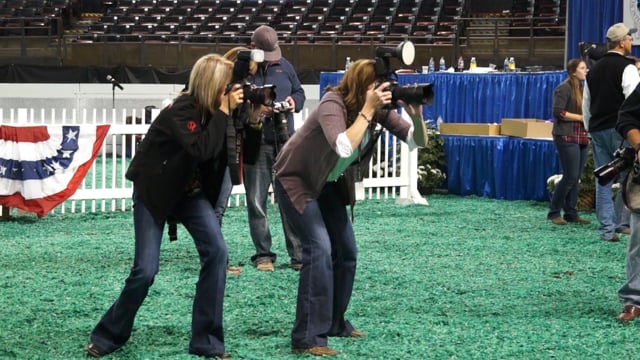 Linde + Showtimes Photos