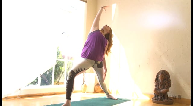 Free Instructional Yoga Videos  Yoga Flow SF - San Francisco, CA