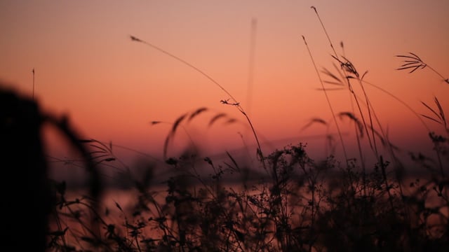 Hình ảnh tuyệt vời về buổi tối trên bờ hồ với cỏ xanh mướt tại Pixabay sẽ là sự lựa chọn hoàn hảo. Bộ ảnh đầy lạ thường này sẽ khiến bạn phải ngơ ngác bởi vẻ đẹp kỳ diệu của nó. Bạn sẽ trở nên thư giãn và tận hưởng cảm giác đẹp nhất từng khoảnh khắc.