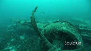 Underwater Videography and photography
