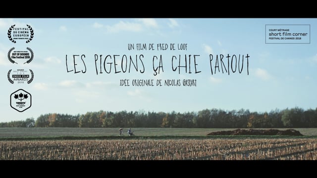 TRAILER - LES PIGEONS ÇA CH** PARTOUT