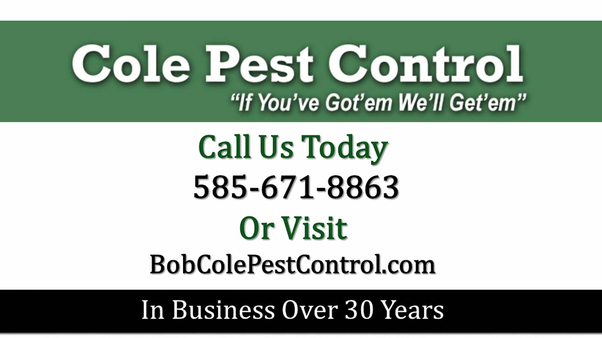Cole Pest Control Pest Control Rochester NY on Vimeo