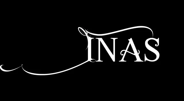 inas.mp4-1