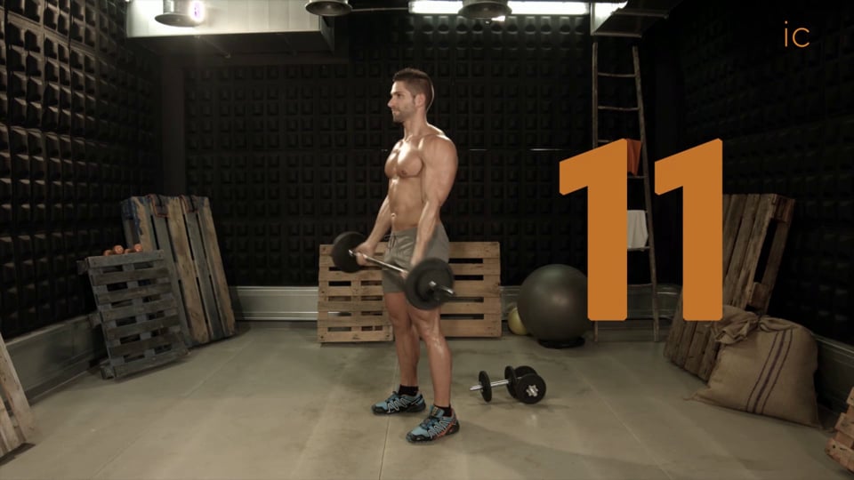 Curl Bíceps con Barra