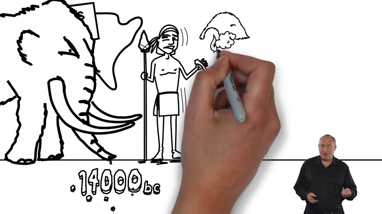 Animation example on Vimeo