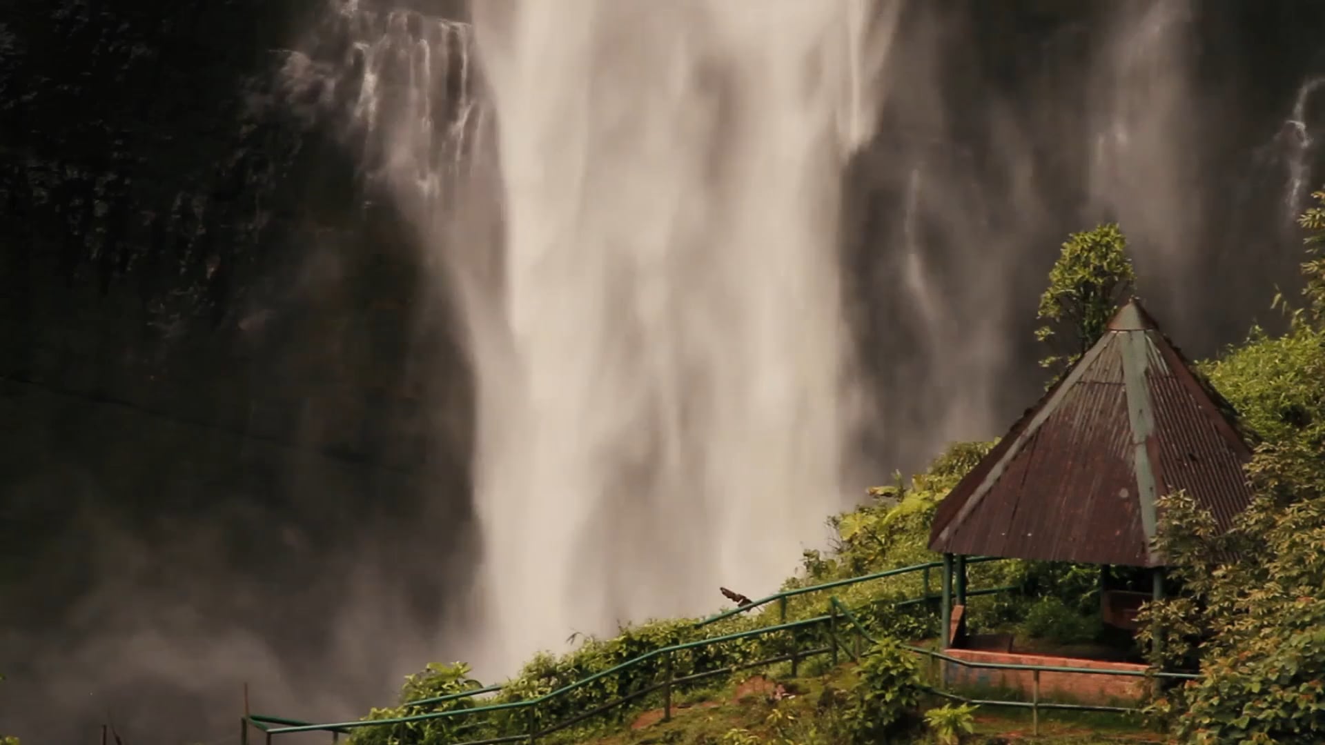 Documental Somos Raíces