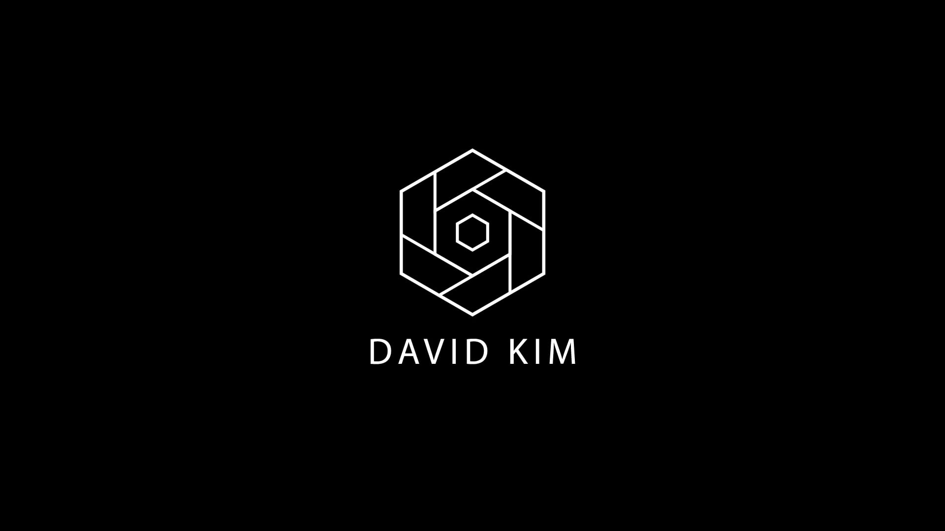 Promotional video thumbnail 1 for Works of David Kim