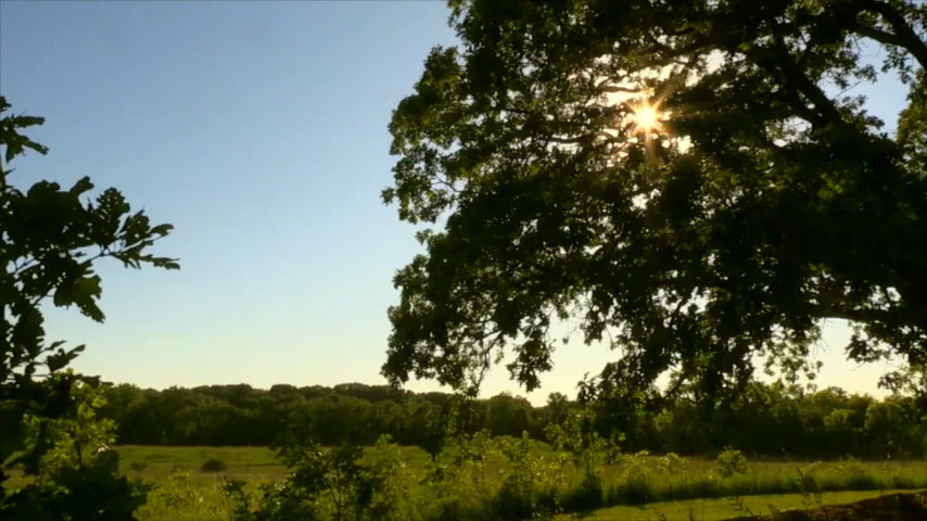 Taltree Arboretum on Vimeo