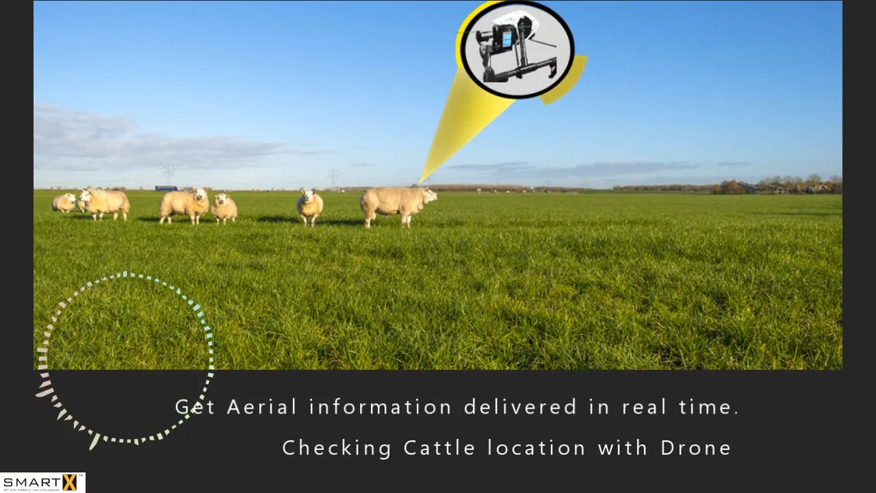 Drone deals livestock monitoring