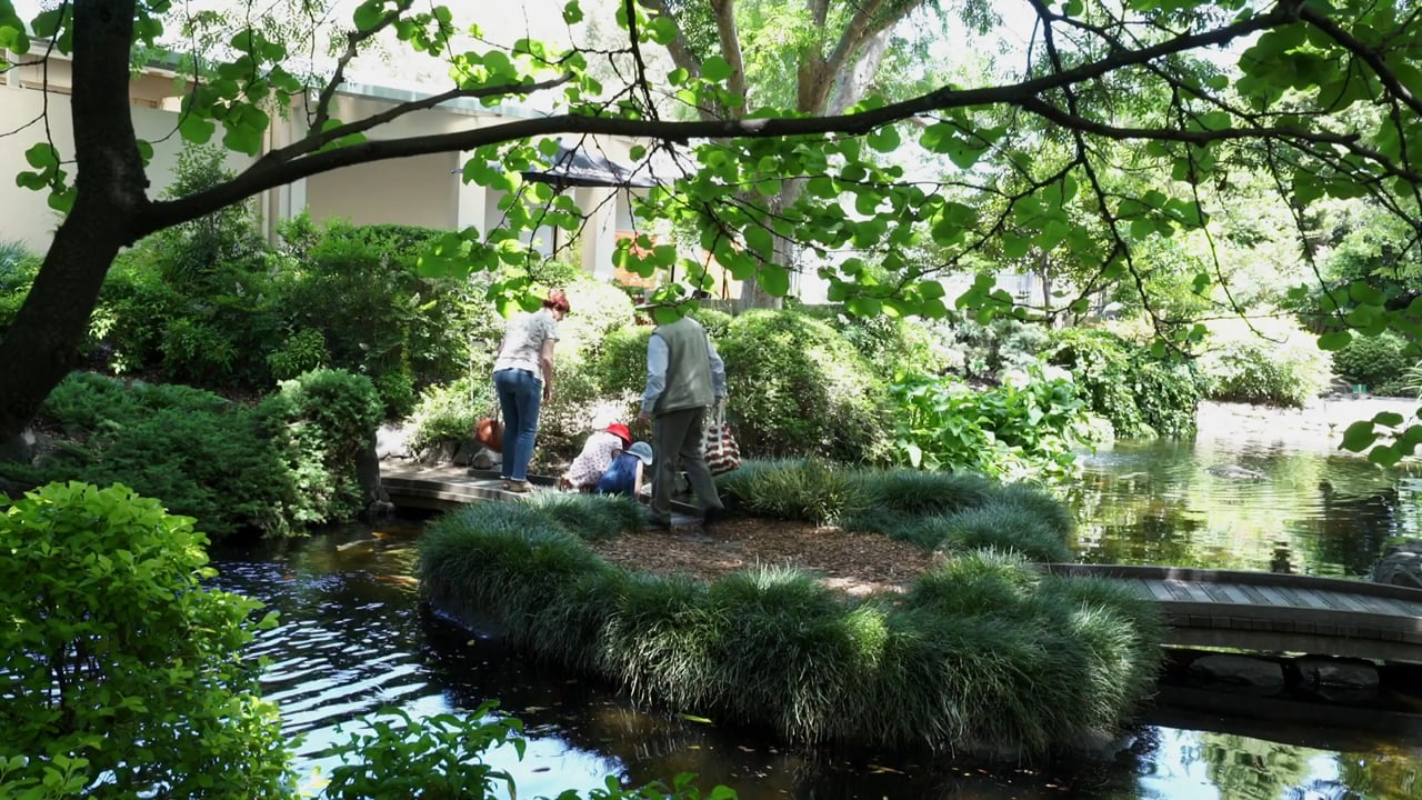 Ghostly Creek to Japanese Gardens