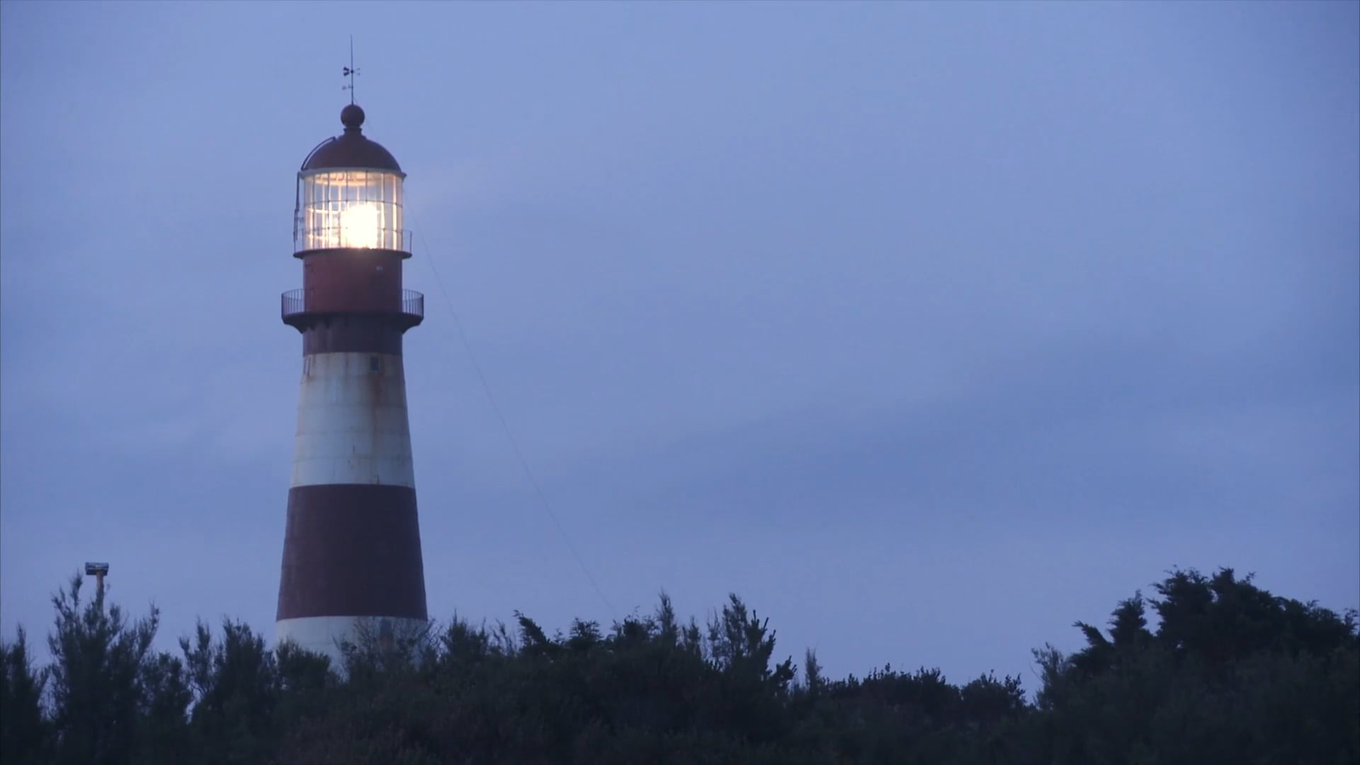 31° Festival - #Epílogo