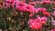 La Bella Vida On Vimeo