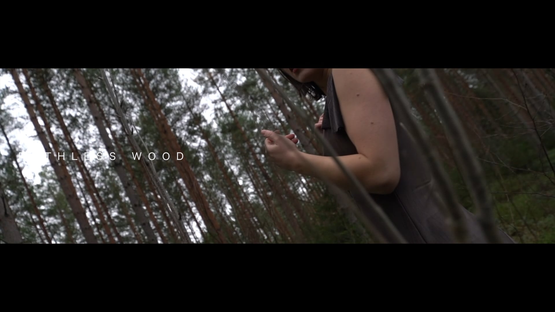 Pathless Wood Teaser 2016