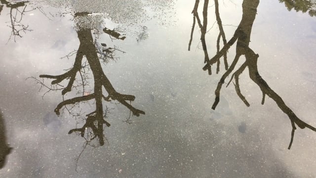 Ich war gestern draußen