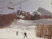 Berkeley: Enzyte - Skier