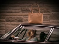 Berkeley: Numovil - Things Forgot, Car