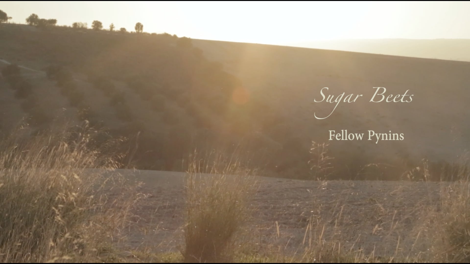 Promotional video thumbnail 2 for Fellow Pynins