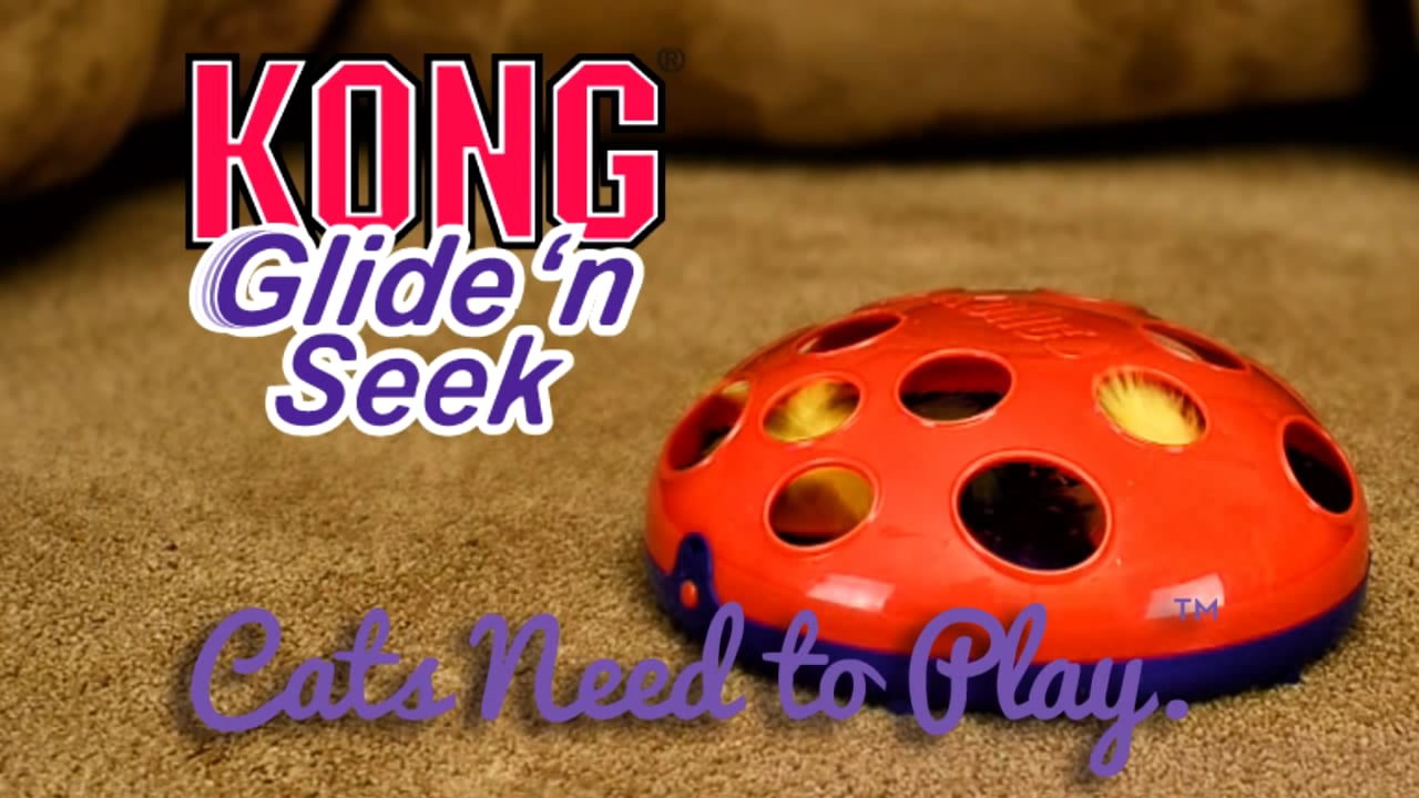 Kong glide and seek hotsell