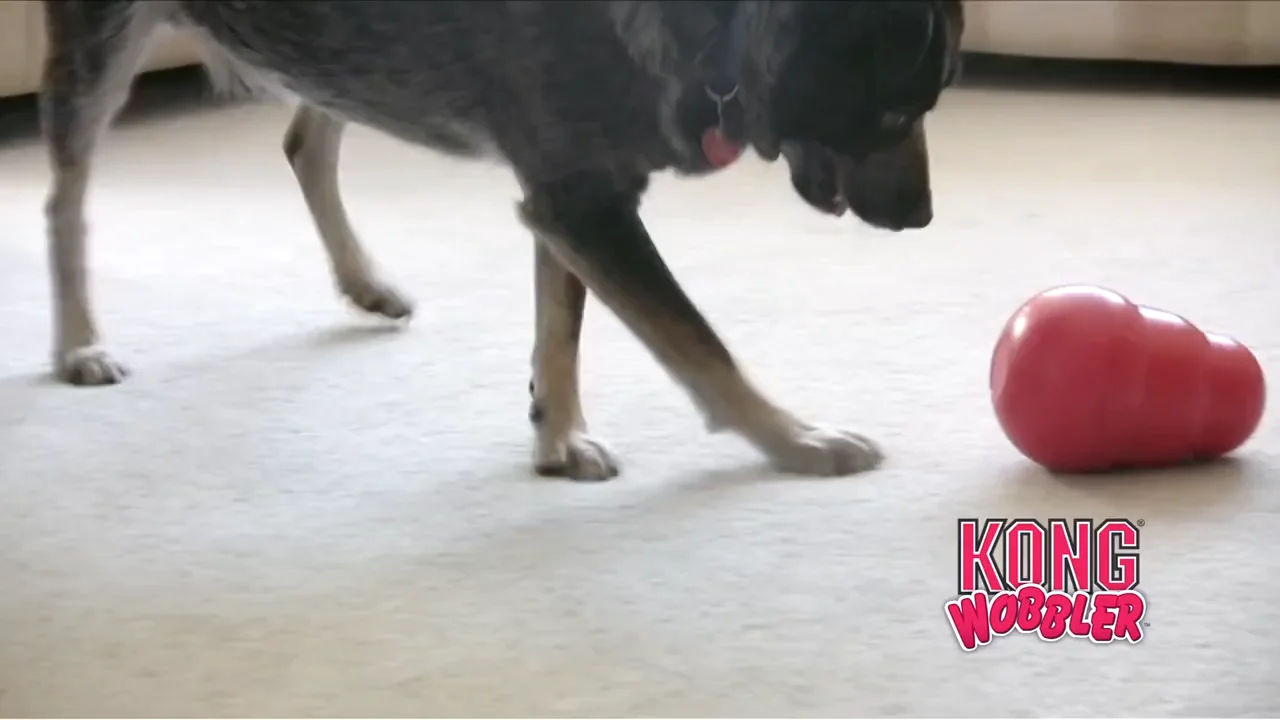 KONG Wobbler Dog Toy 